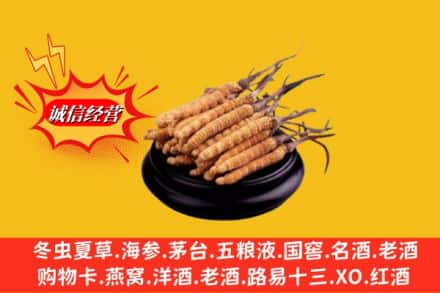 二道区回收虫草多少钱每克